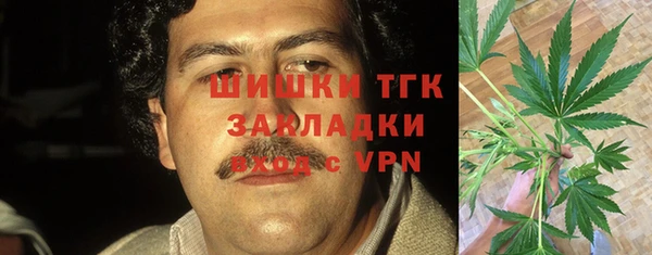 прущие грибы Киров